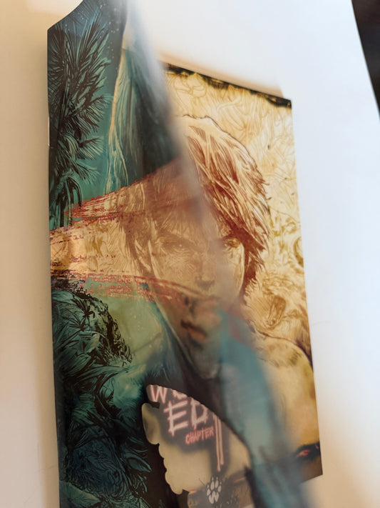 2-Layer Cover Issue #2 Variant