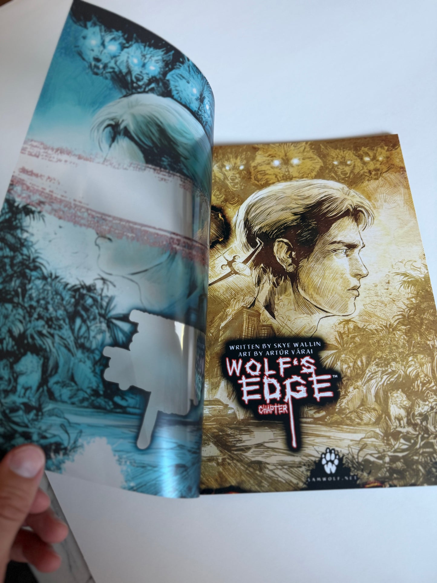 2-Layer Cover Issue #1 Variant