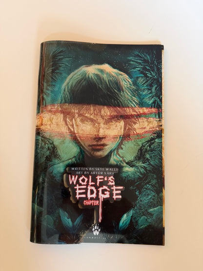 2-Layer Cover Issue #2 Variant